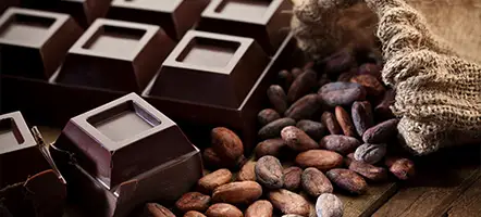 Šokolado degustacija - kelionės skirtingais šokolado skoniais